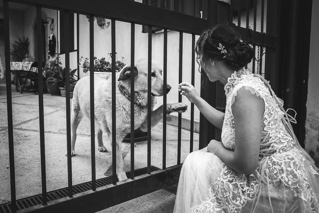 a bride greets her dog before leaving for the wedding ceremony