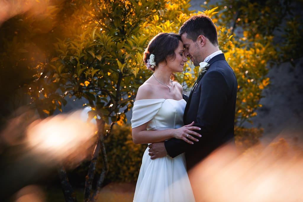 a wedding couple romantic moment with trees lit in golden light in the background