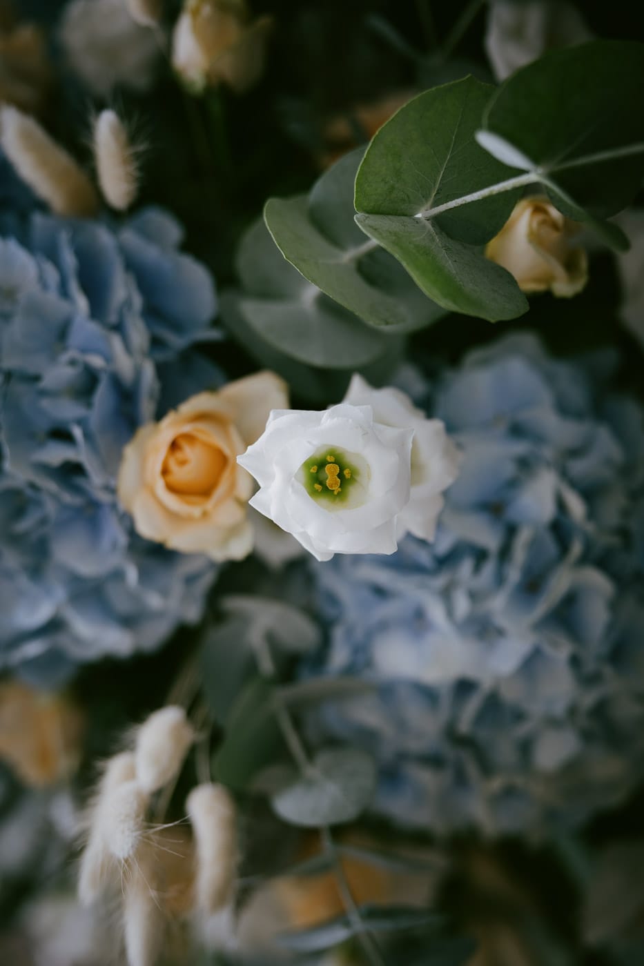 custom wedding package cover