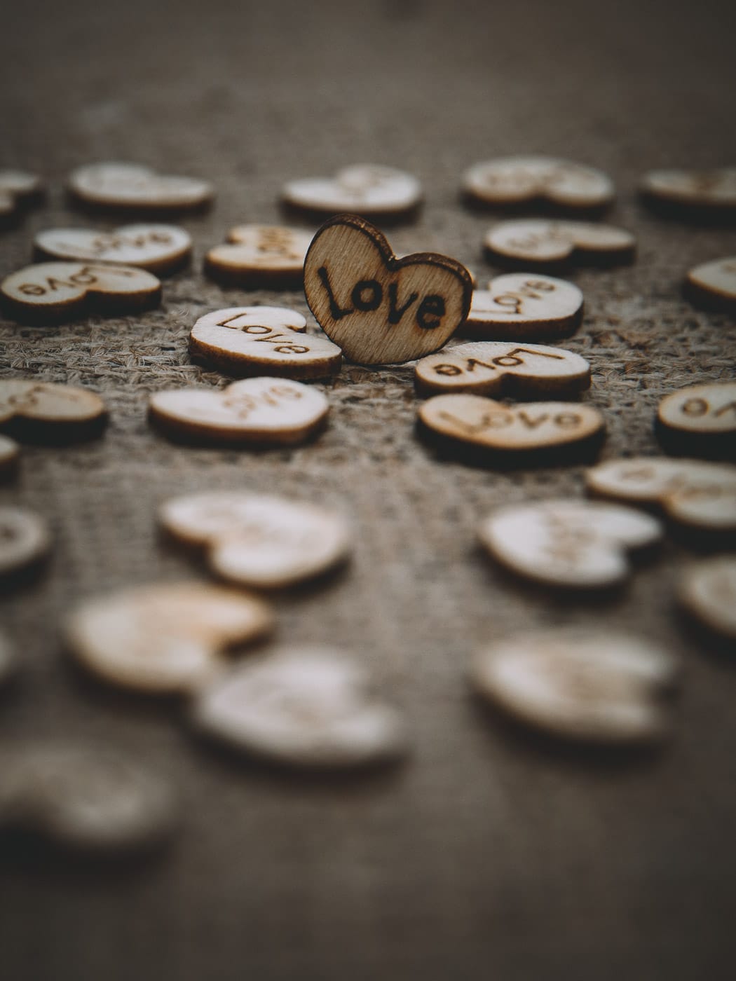 lily wedding package cover