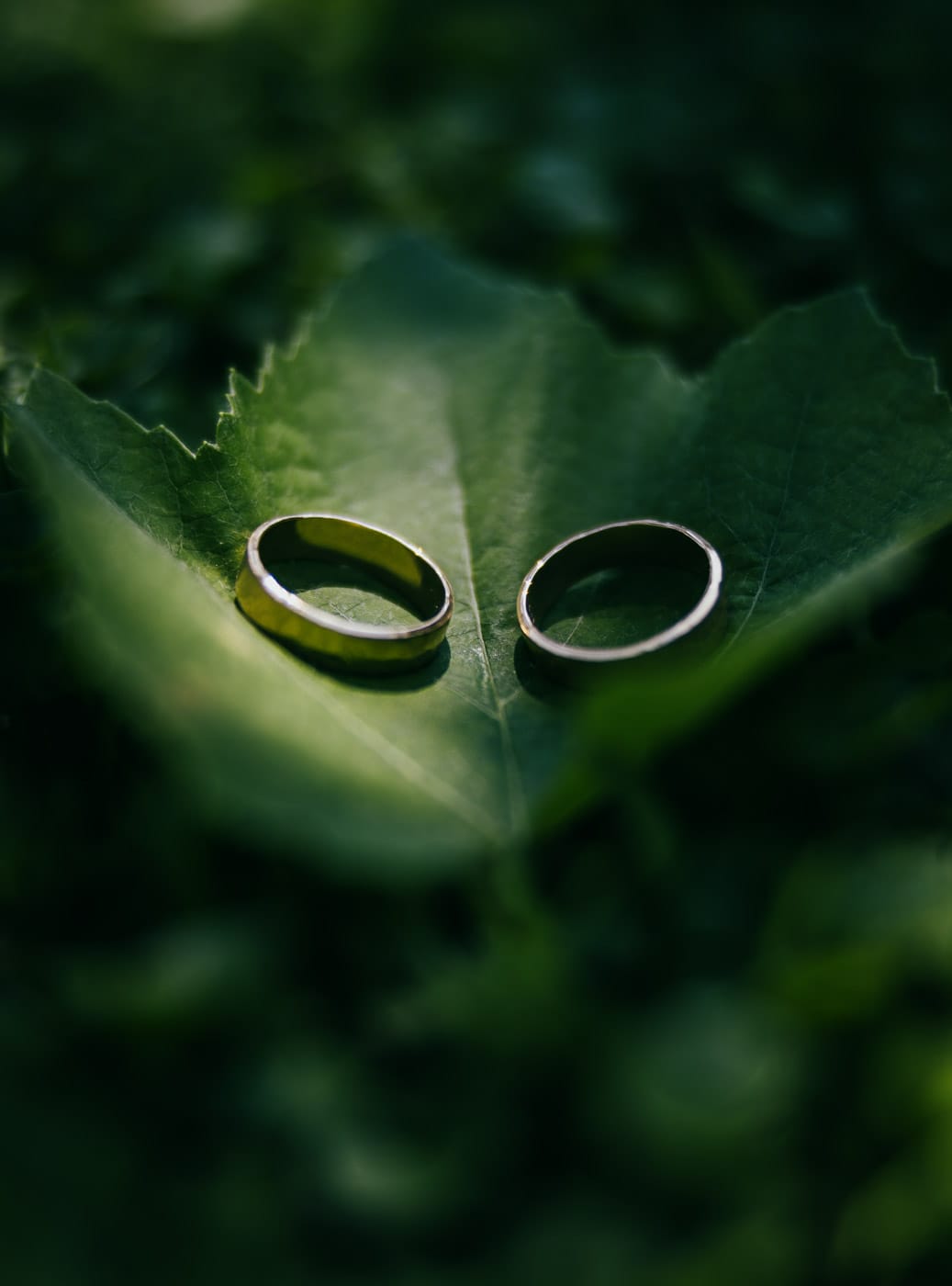 pearl wedding package cover