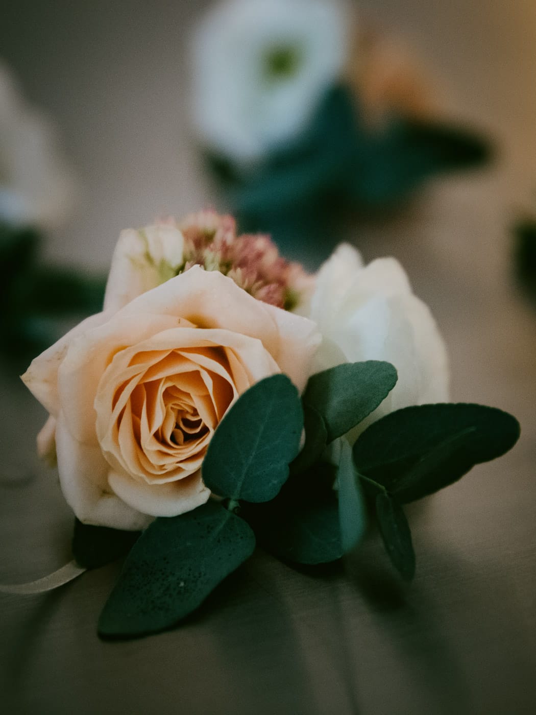 timeless wedding package cover